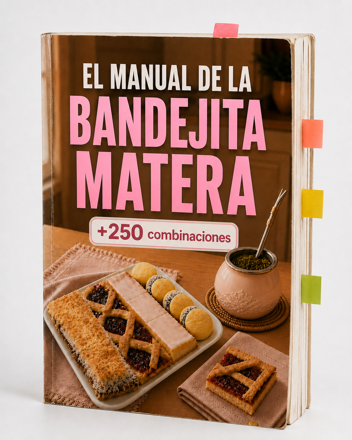El Manual de la Bandejita Matera